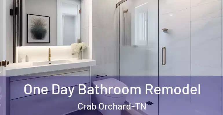 inner Bathroom imggen One Day Bathroom Remodel Crab Orchard-TN