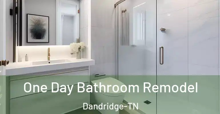 inner Bathroom imggen One Day Bathroom Remodel Dandridge-TN