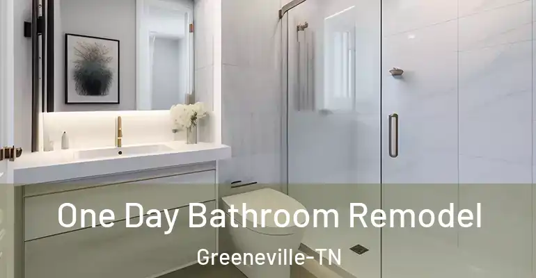 inner Bathroom imggen One Day Bathroom Remodel Greeneville-TN