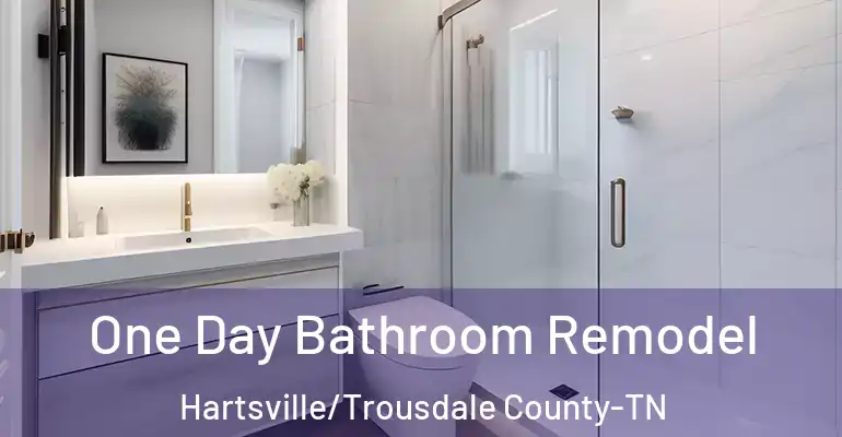 inner Bathroom imggen One Day Bathroom Remodel Hartsville/Trousdale County-TN