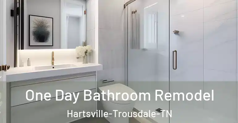 inner Bathroom imggen One Day Bathroom Remodel Hartsville-Trousdale-TN