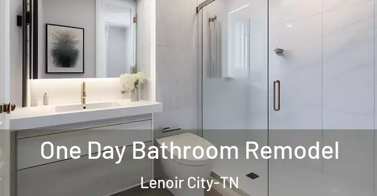 inner Bathroom imggen One Day Bathroom Remodel Lenoir City-TN