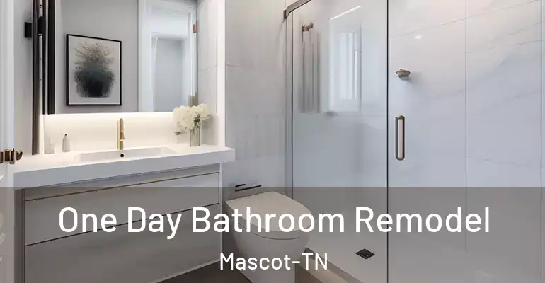 inner Bathroom imggen One Day Bathroom Remodel Mascot-TN