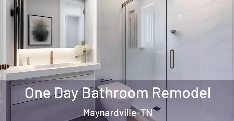 inner Bathroom imggen One Day Bathroom Remodel Maynardville-TN
