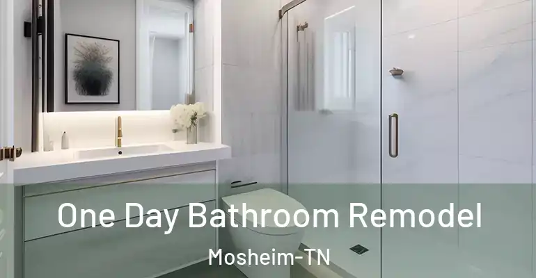 inner Bathroom imggen One Day Bathroom Remodel Mosheim-TN