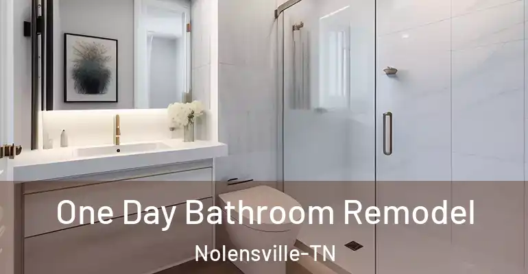 inner Bathroom imggen One Day Bathroom Remodel Nolensville-TN
