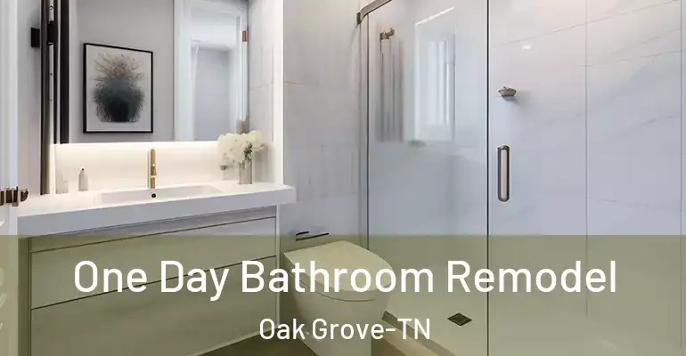 inner Bathroom imggen One Day Bathroom Remodel Oak Grove-TN