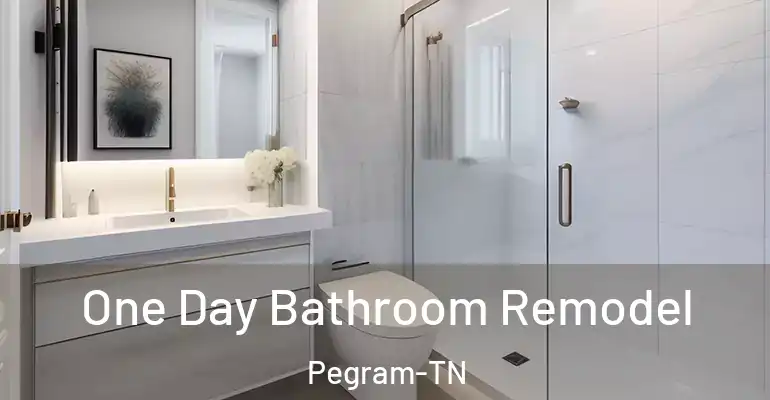 inner Bathroom imggen One Day Bathroom Remodel Pegram-TN