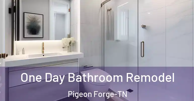 inner Bathroom imggen One Day Bathroom Remodel Pigeon Forge-TN