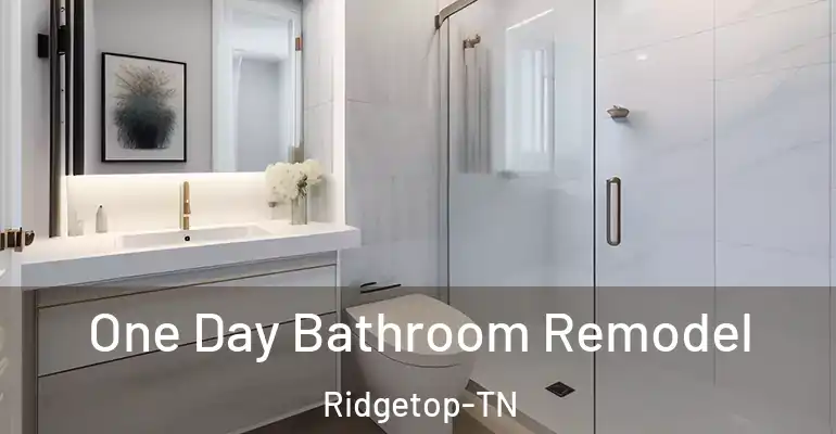 inner Bathroom imggen One Day Bathroom Remodel Ridgetop-TN