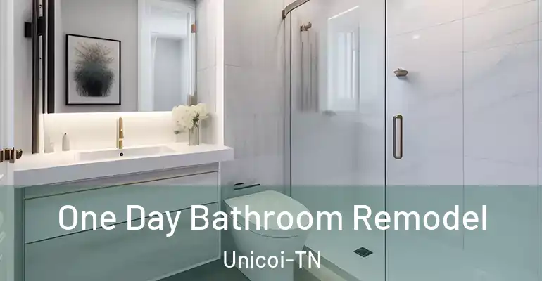inner Bathroom imggen One Day Bathroom Remodel Unicoi-TN