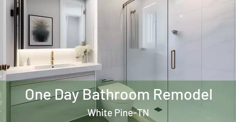 inner Bathroom imggen One Day Bathroom Remodel White Pine-TN
