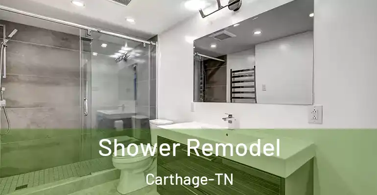 inner Bathroom imggen Shower Remodel Carthage-TN