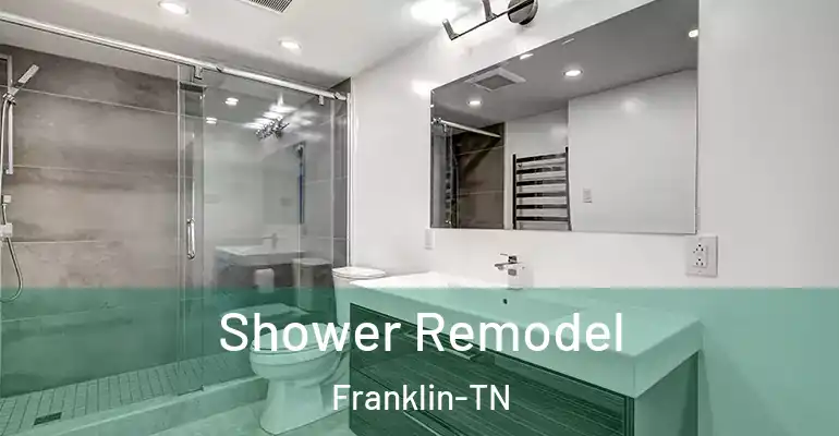 inner Bathroom imggen Shower Remodel Franklin-TN