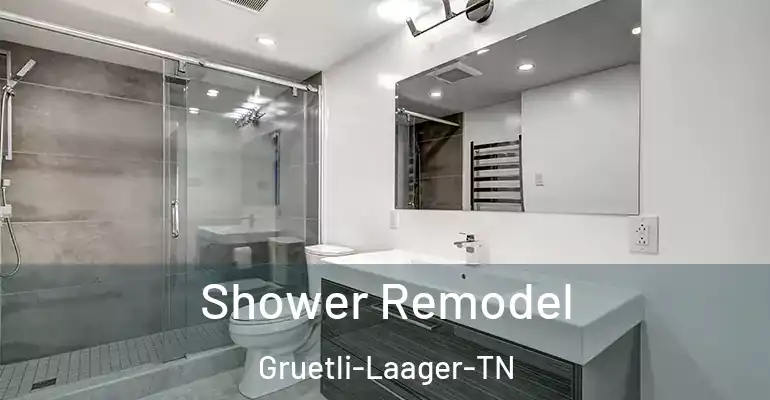 inner Bathroom imggen Shower Remodel Gruetli-Laager-TN