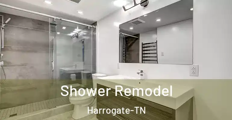 inner Bathroom imggen Shower Remodel Harrogate-TN