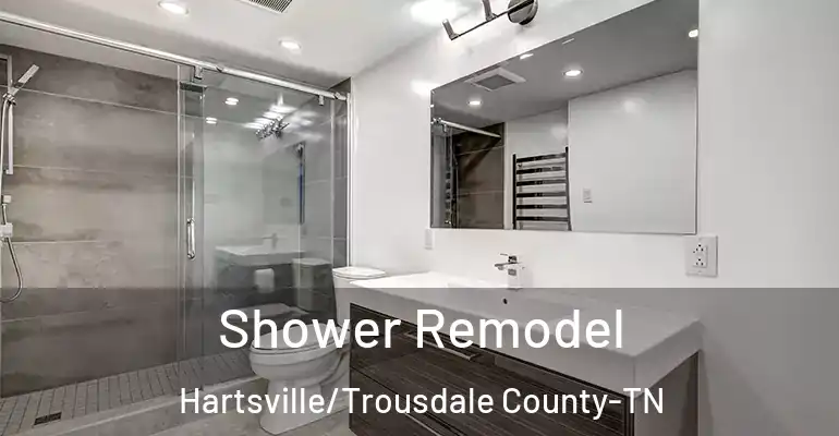 inner Bathroom imggen Shower Remodel Hartsville/Trousdale County-TN