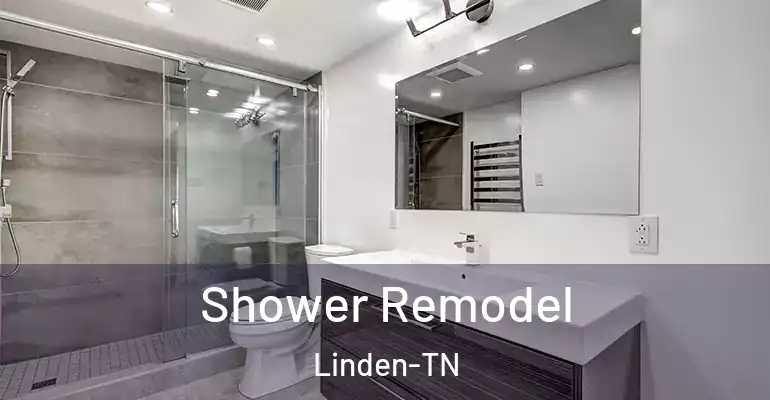 inner Bathroom imggen Shower Remodel Linden-TN