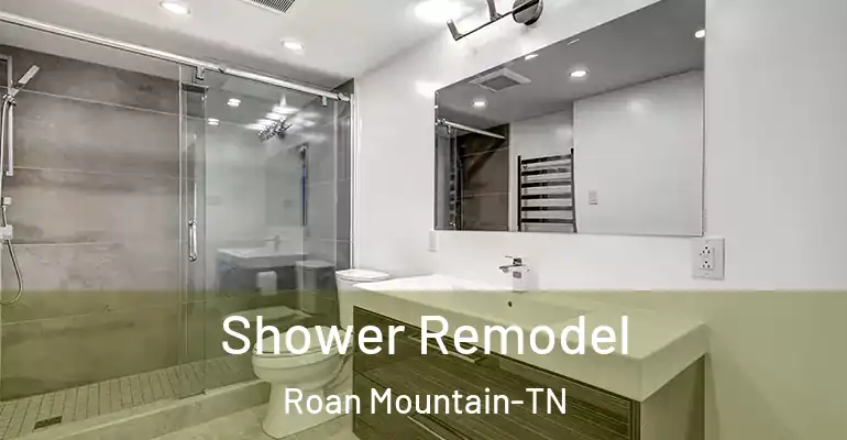 inner Bathroom imggen Shower Remodel Roan Mountain-TN