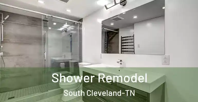 inner Bathroom imggen Shower Remodel South Cleveland-TN