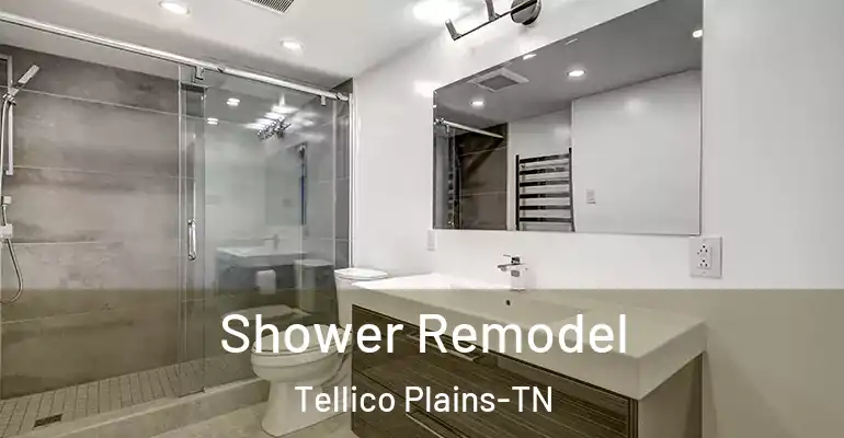 inner Bathroom imggen Shower Remodel Tellico Plains-TN