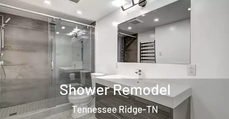 inner Bathroom imggen Shower Remodel Tennessee Ridge-TN