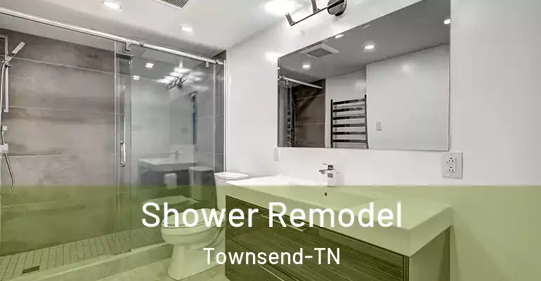 inner Bathroom imggen Shower Remodel Townsend-TN