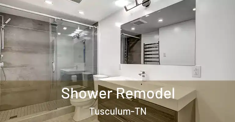 inner Bathroom imggen Shower Remodel Tusculum-TN