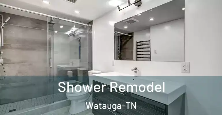 inner Bathroom imggen Shower Remodel Watauga-TN
