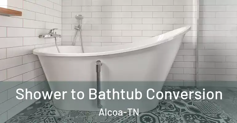 inner Bathroom imggen Shower to Bathtub Conversion Alcoa-TN