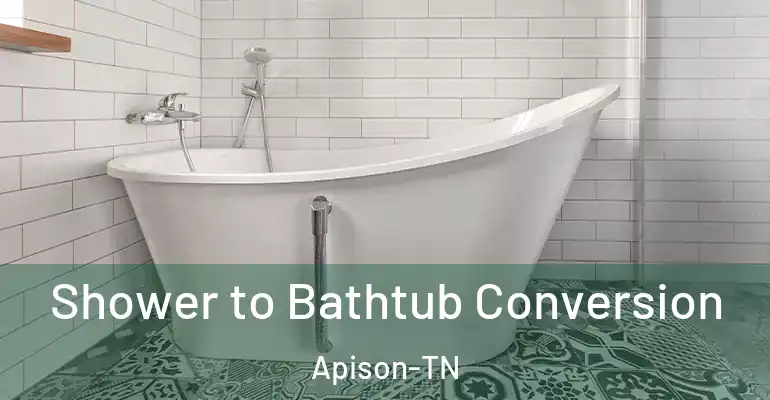 inner Bathroom imggen Shower to Bathtub Conversion Apison-TN