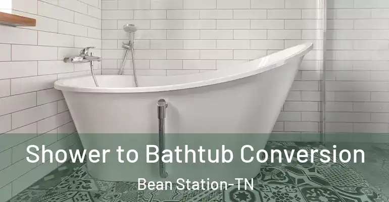 inner Bathroom imggen Shower to Bathtub Conversion Bean Station-TN