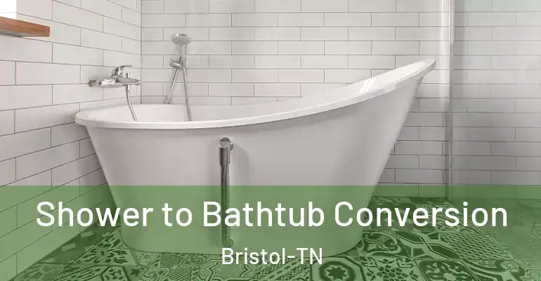 inner Bathroom imggen Shower to Bathtub Conversion Bristol-TN