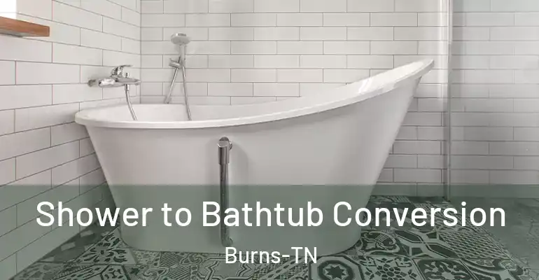 inner Bathroom imggen Shower to Bathtub Conversion Burns-TN