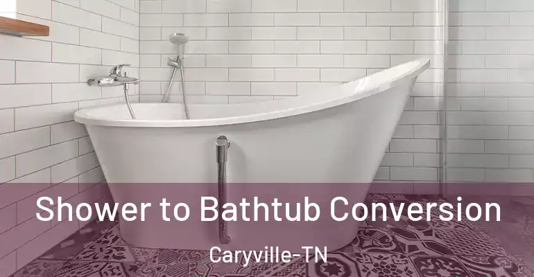 inner Bathroom imggen Shower to Bathtub Conversion Caryville-TN