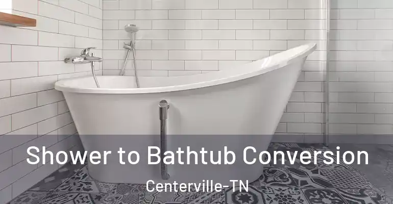 inner Bathroom imggen Shower to Bathtub Conversion Centerville-TN
