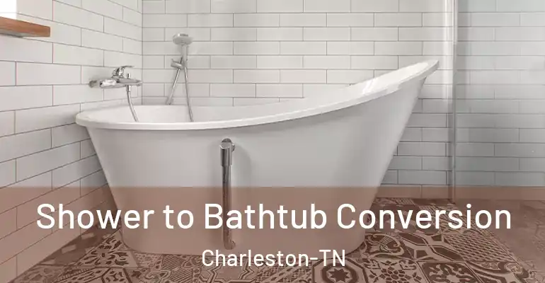 inner Bathroom imggen Shower to Bathtub Conversion Charleston-TN