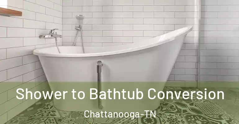 inner Bathroom imggen Shower to Bathtub Conversion Chattanooga-TN