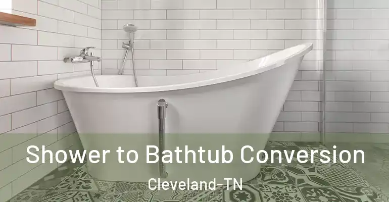 inner Bathroom imggen Shower to Bathtub Conversion Cleveland-TN