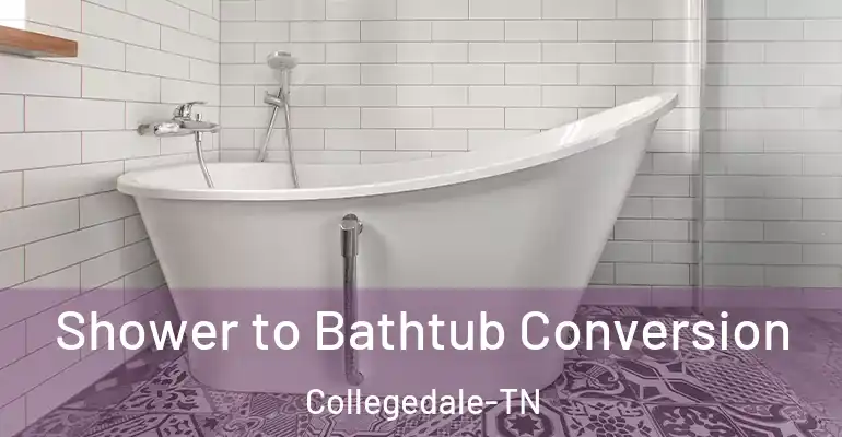 inner Bathroom imggen Shower to Bathtub Conversion Collegedale-TN