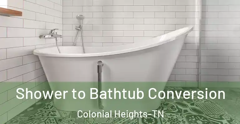 inner Bathroom imggen Shower to Bathtub Conversion Colonial Heights-TN