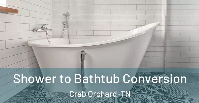 inner Bathroom imggen Shower to Bathtub Conversion Crab Orchard-TN