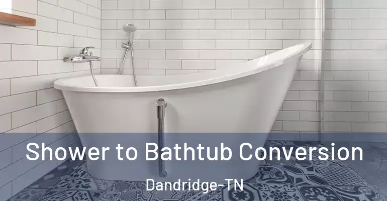 inner Bathroom imggen Shower to Bathtub Conversion Dandridge-TN