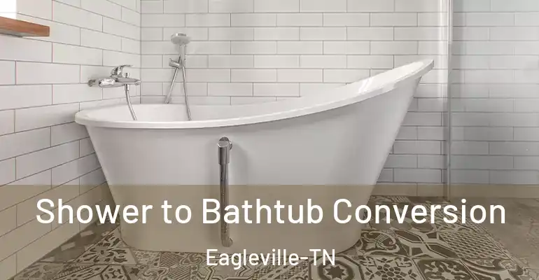 inner Bathroom imggen Shower to Bathtub Conversion Eagleville-TN