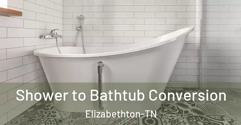 inner Bathroom imggen Shower to Bathtub Conversion Elizabethton-TN