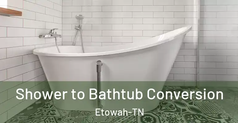 inner Bathroom imggen Shower to Bathtub Conversion Etowah-TN