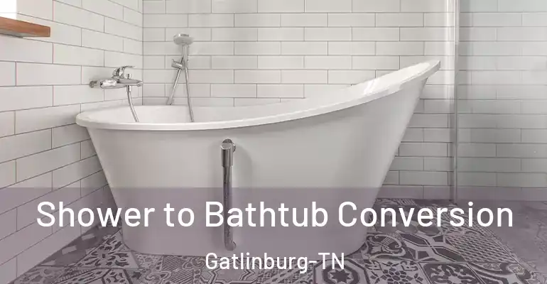 inner Bathroom imggen Shower to Bathtub Conversion Gatlinburg-TN
