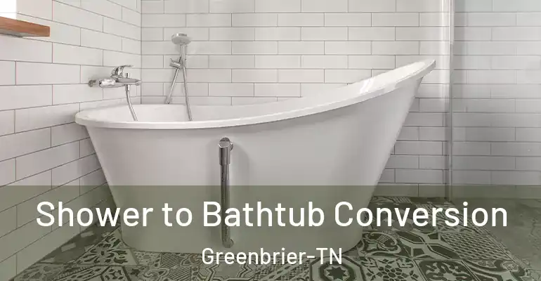 inner Bathroom imggen Shower to Bathtub Conversion Greenbrier-TN