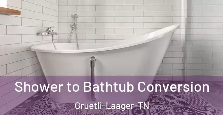 inner Bathroom imggen Shower to Bathtub Conversion Gruetli-Laager-TN
