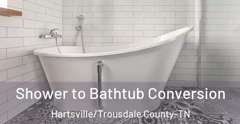 inner Bathroom imggen Shower to Bathtub Conversion Hartsville/Trousdale County-TN